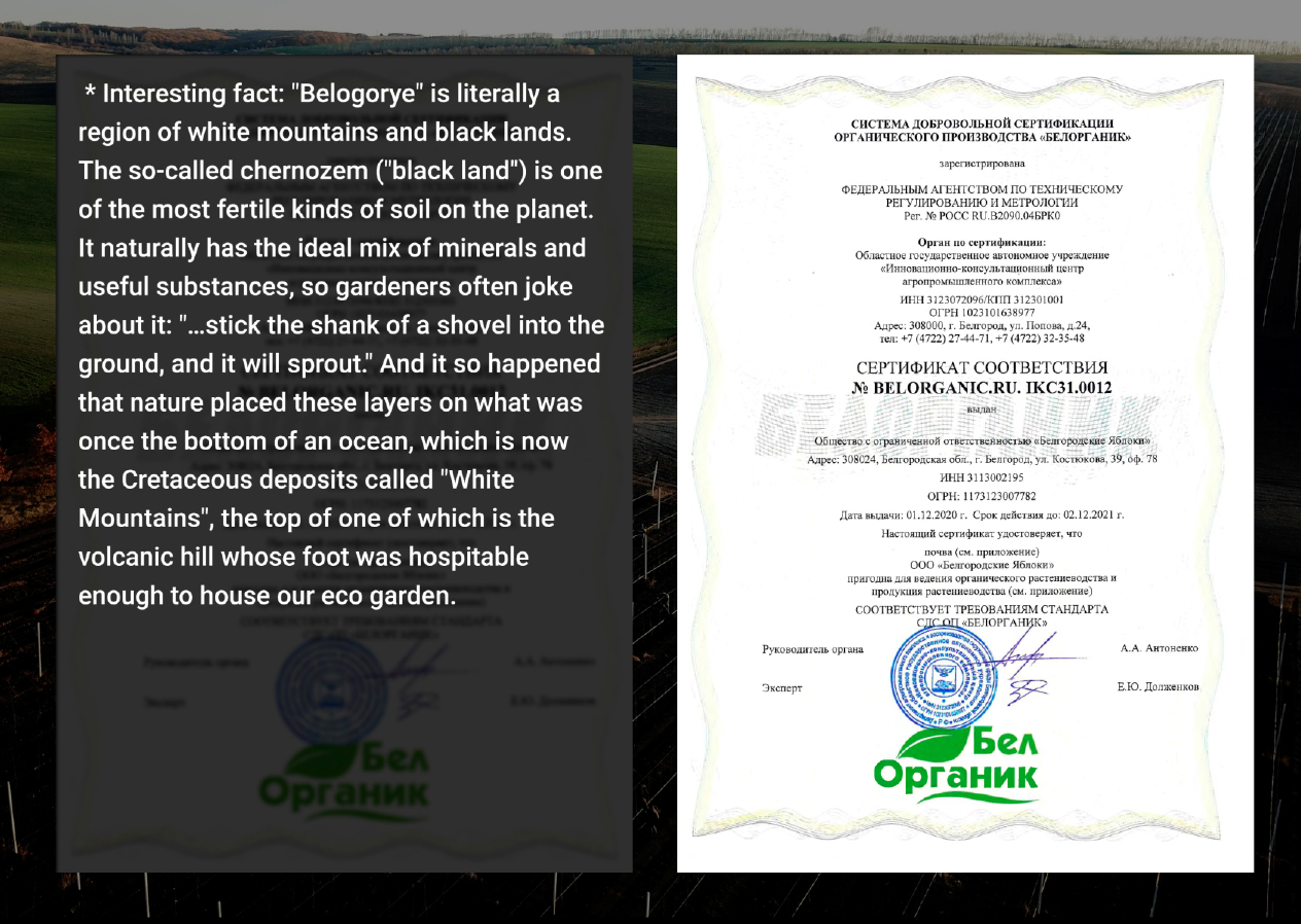 Third slide